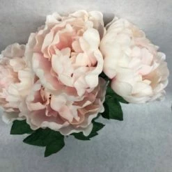 Something Blue Peony Floral Blush Size 16" FLORAL