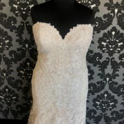 Something Blue WEDDING DRESSES Essense Of Australia Women's Wedding Dress Lace Ivory/Champagne