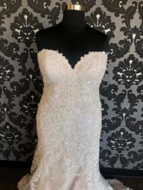 Something Blue WEDDING DRESSES Essense Of Australia Women's Wedding Dress Lace Ivory/Champagne 4 Something Blue WEDDING DRESSES Essense Of Australia Women's Wedding Dress Lace Ivory/Champagne