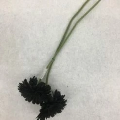 Something Blue Wedding Ashland Daisy Floral Black Size 2ct FLORAL