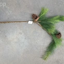 Something Blue Branch- Long Pine Needles W/pinecones