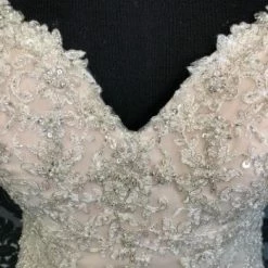 Something Blue WEDDING DRESSES Stella York 6401DM Women's Wedding Dress Beaded Ivory/Champagne 11 Something Blue WEDDING DRESSES Stella York 6401DM Women's Wedding Dress Beaded Ivory/Champagne