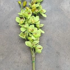 Something Blue Wedding Hobby Lobby Orchid Floral Lime Size 3ct FLORAL