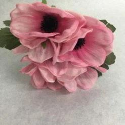 Something Blue Sullivan's Floral Pink Size 5ct Anemone THE PARLOUR