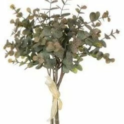 Something Blue Sullivan's 02204BQ Bunch Eucalyptus Bundles Yellow THE PARLOUR