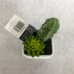 Something Blue Sullivan's Mini Cactus/Succulent Pair 02228POT THE PARLOUR