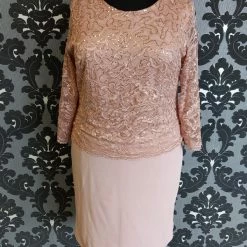 Something Blue Miss Cristina 2954 Formal Lace/ Poly Spandex Blush Size 3XL FORMAL/MOTHER'S DRESSES