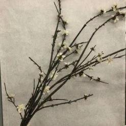 Something Blue DECOR Branch Floral Brown/ivory Size 4ct FLORAL