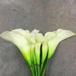 Something Blue Wedding DECOR Lily True Touch Ivory/Green 6ct