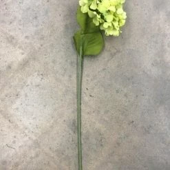 DECOR 27" Green Hydrangea Ashland Stem