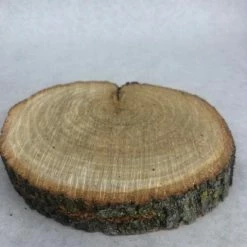 Something Blue Wood Cookie Wood Brown Size Approx. 7" WOOD DECOR