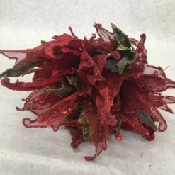 Something Blue Wedding Poinsettias Glitter Red Size 4ct FLORAL