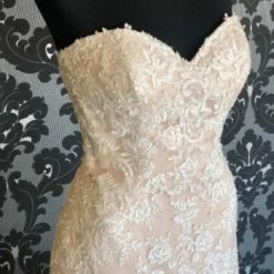 Something Blue Stella York STORMY Women's Wedding Dress Lace Ivory/Champagne Size 14 8 Something Blue Stella York STORMY Women's Wedding Dress Lace Ivory/Champagne Size 14