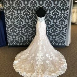 Something Blue Essense Of Australia D2424CR Wedding Dress Lace Ivory/Champagne WEDDING DRESSES 11 Something Blue Essense Of Australia D2424CR Wedding Dress Lace Ivory/Champagne WEDDING DRESSES