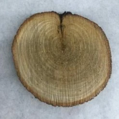 Something Blue Wood Cookie Wood Brown Size Approx. 7" WOOD DECOR