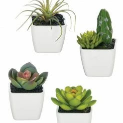 Something Blue Sullivan's 02228POT Succulent Green THE PARLOUR