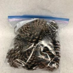 Something Blue Pinecones Brown Gallon Bag