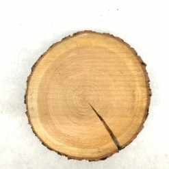 Something Blue Wood Cookie Wood Brown Size Approx. 9" WOOD DECOR