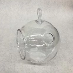 Something Blue Terrarium Plastic Clear Size 4.5" FLORAL