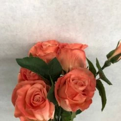 Something Blue Coral Rose Stem 5ct