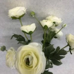 Something Blue DECOR Hobby Lobby Ranunculus Floral Ivory Size 2pc FLORAL