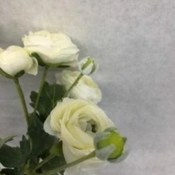 Something Blue DECOR Hobby Lobby Ranunculus Floral Ivory Size 2pc FLORAL