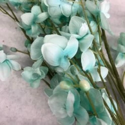 Something Blue Hobby Lobby Orchid Floral Mint Size 33" FLORAL