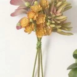 Something Blue Sullivan's 2400BQ 7" Succulent Bouquet Mutli