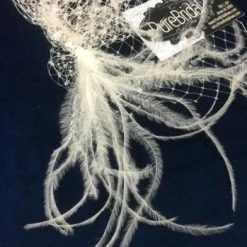 Something Blue Wedding Women's Veil Feather Ivory Cage VEILS