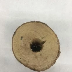 Something Blue Wedding Wood Stumps Birch Beige Size 6