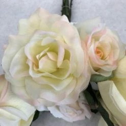 Something Blue Robe Floral Ivory/Blue Size 15