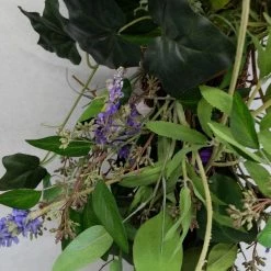 Something Blue Wreath Size 30" Floral Green/Purple FLORAL DECOR