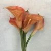 Something Blue Wedding Hobby Lobby Lily Real Touch Coral Size 5ct FLORAL DECOR