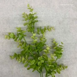 Something Blue Eucalyptus Greenery Green Size 16" FLORAL