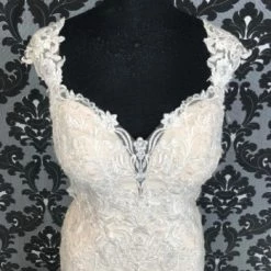 Something Blue Stella York 6245 STACIE Women's Wedding Dress Lace Ivory/Champagne WEDDING DRESSES