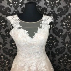 Something Blue Eddy K EK1229 Wedding Dress Tulle/Lace Champagne/Ivory Size 14 WEDDING DRESSES