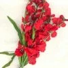 Something Blue Gladiolus Floral Red Size 2ct FLORAL DECOR