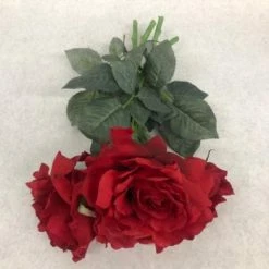 Something Blue Rose Floral Red Size 4ct FLORAL