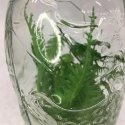 Something Blue Wedding DECOR Centerpiece Glass/Greenery Clear/Green Size 12" CENTERPIECES