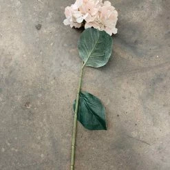 Something Blue Blush Hydrangea Stem Size 24"