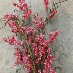 Something Blue Wedding DECOR Winter Berry Plastic Red/Brown Size 3 Ct