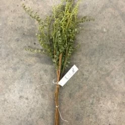 Something Blue Greenery Greenery Olive Size 25" FLORAL