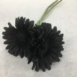 Something Blue Wedding Ashland Daisy Floral Black Size 2ct FLORAL