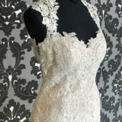 Something Blue WEDDING DRESSES Justin Alexander 88006 Wedding Dress Lace Ivory/Nude Size 12