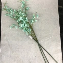 Something Blue Hobby Lobby Orchid Floral Mint Size 33" FLORAL