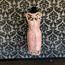 Something Blue FORMAL/MOTHER'S DRESSES Tadashi Shoji Formal Size 8P Sequin/Lace Mauve