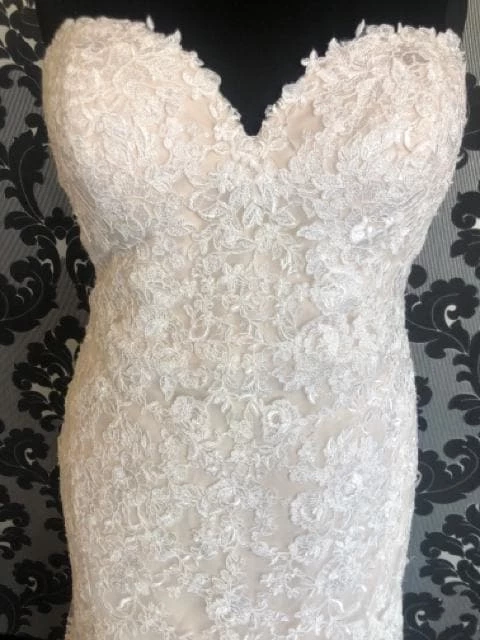 Something Blue WEDDING DRESSES Essense Of Australia Women's Wedding Dress Lace Ivory/Champagne 5 Something Blue WEDDING DRESSES Essense Of Australia Women's Wedding Dress Lace Ivory/Champagne