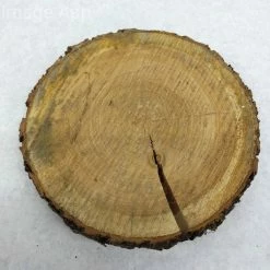 Something Blue Wood Cookie Wood Brown Size Approx. 9" WOOD DECOR