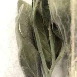 Something Blue Ashland Lamb's Ear Greenery Green Size 24" FLORAL