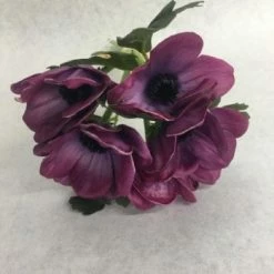 Something Blue THE PARLOUR Sullivan's Floral Magenta Size 5ct Anemone